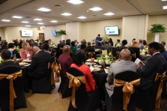 rlb_7725_40614663405_o