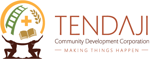 tendaji_logo